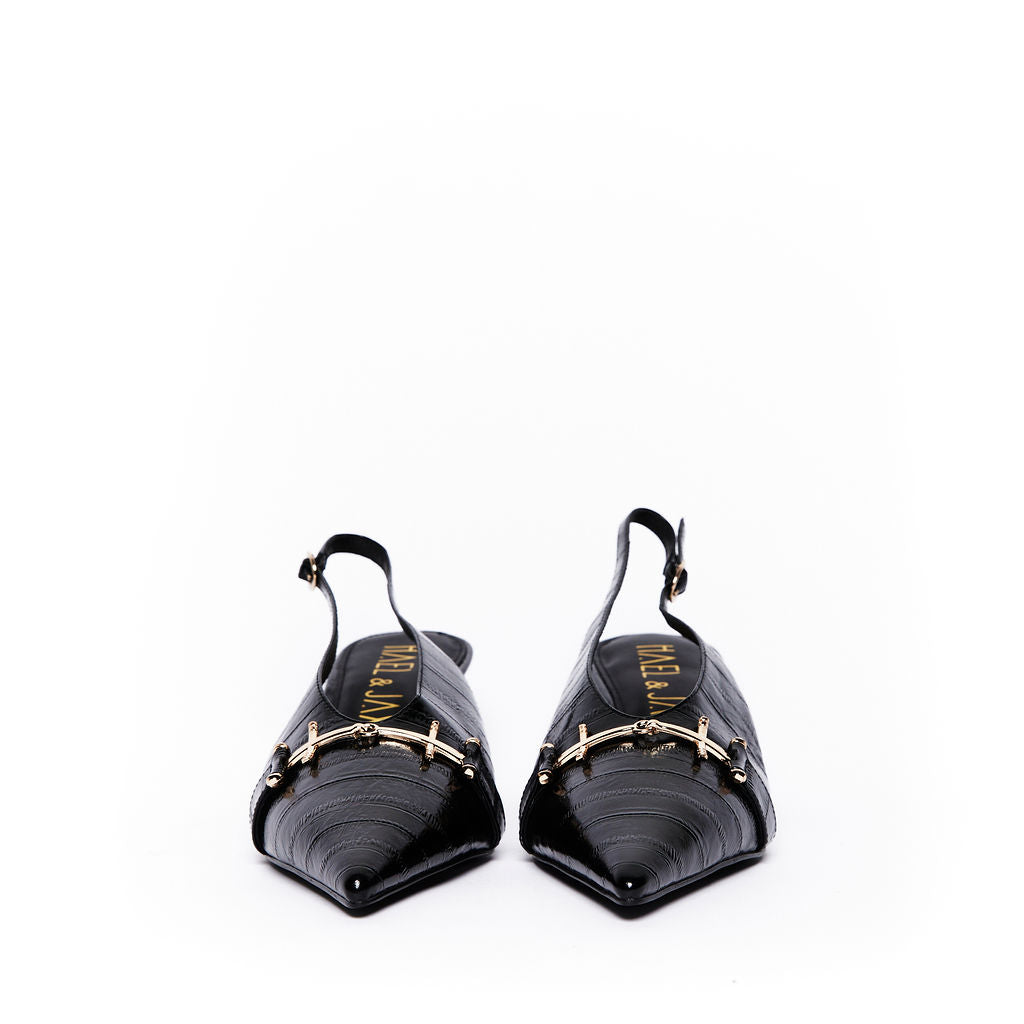 ALBATROSS Black