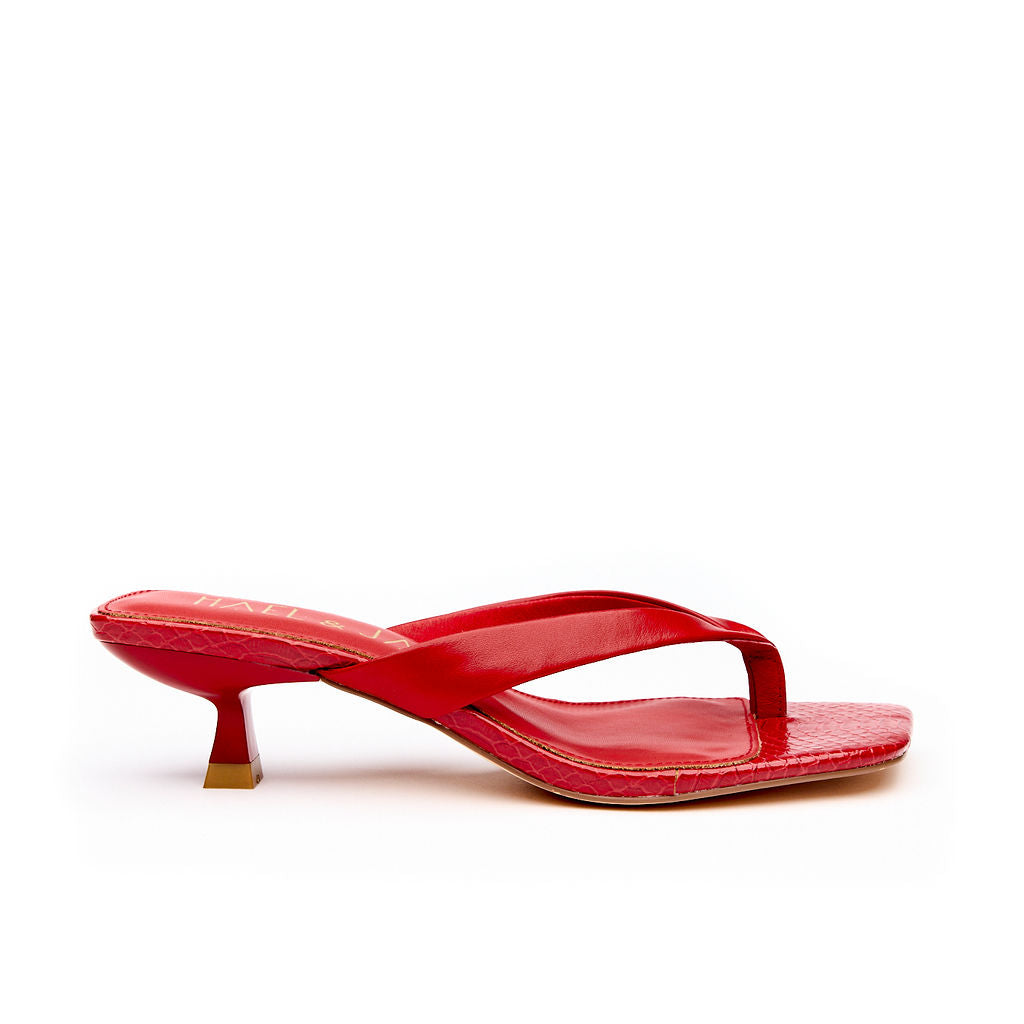 ASTUTE Red