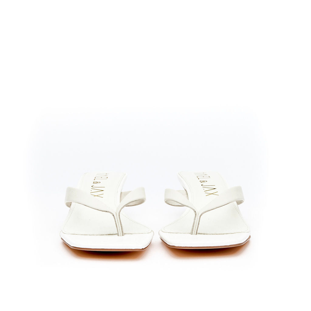 ASTUTE White