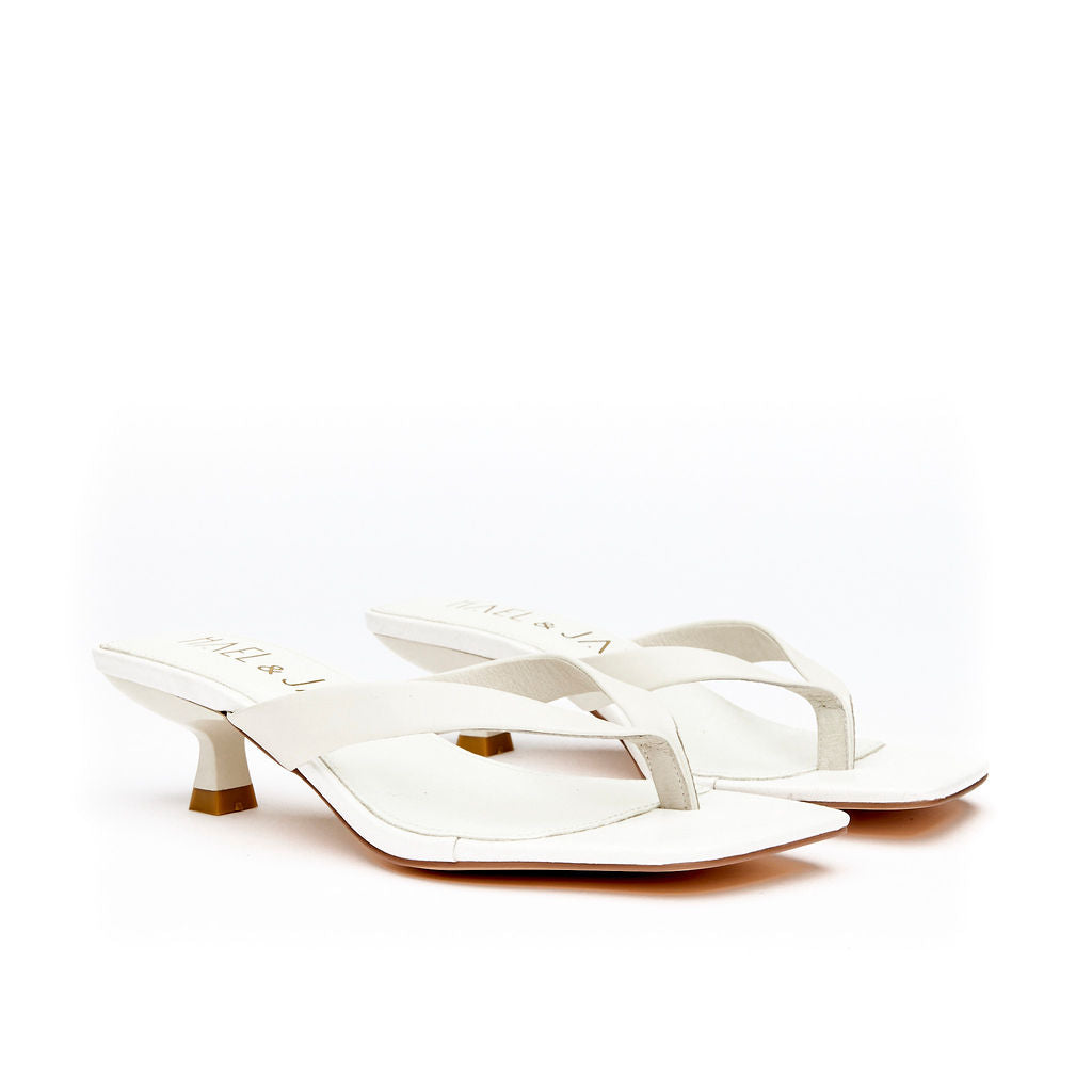 ASTUTE White