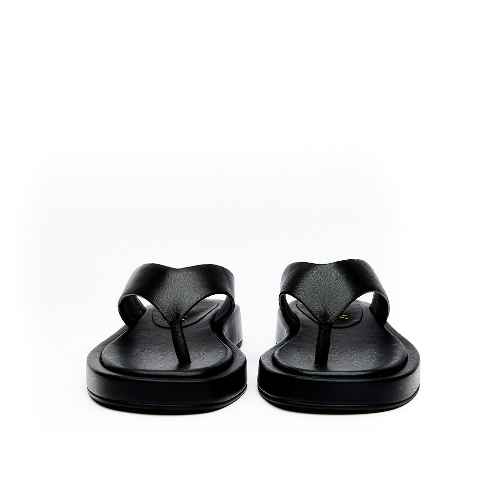 DIGNIFIED Black