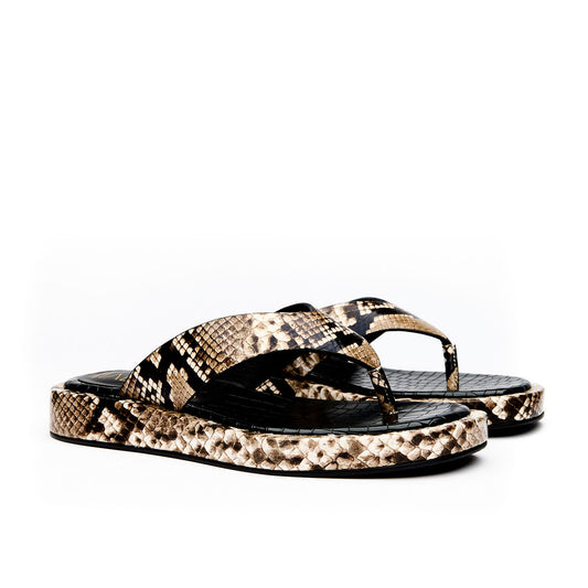 DIGNIFIED Neutral Snk