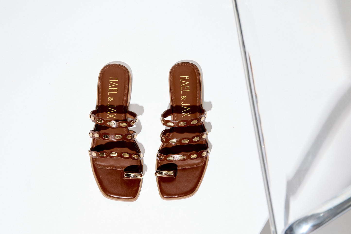 ENLIGHTENED Cinnamon