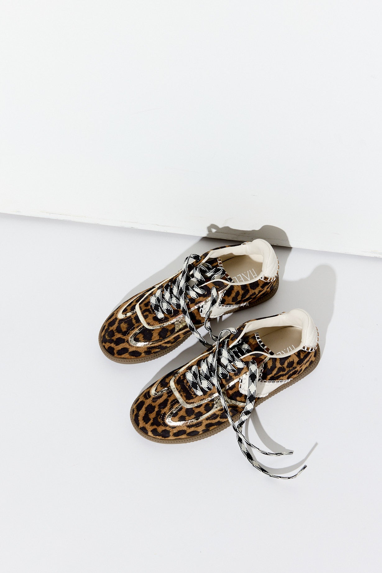GENEROUS Leopard