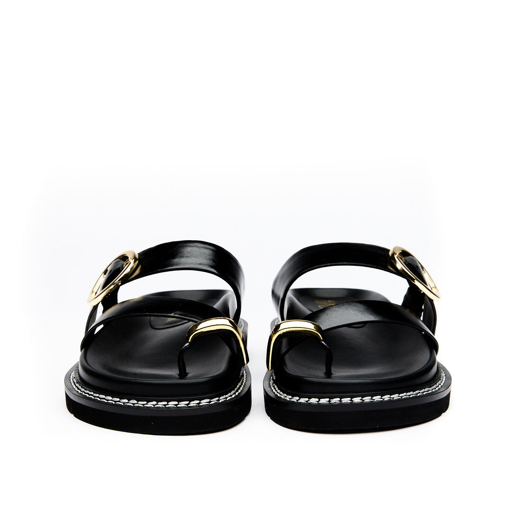 POLISHED Black