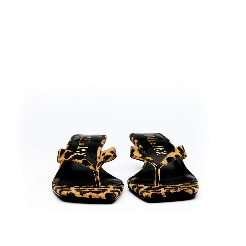 ASTUTE Leopard