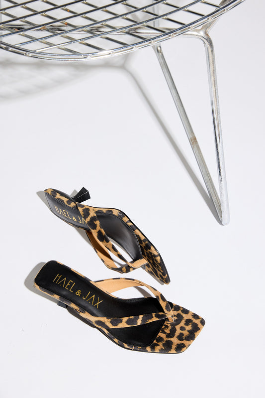 ASTUTE Leopard