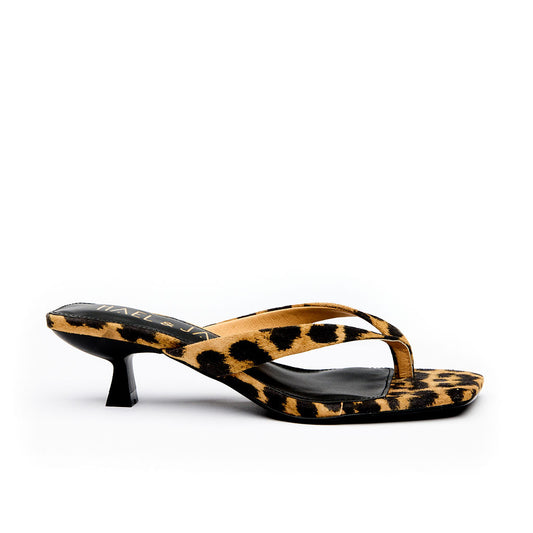 ASTUTE Leopard