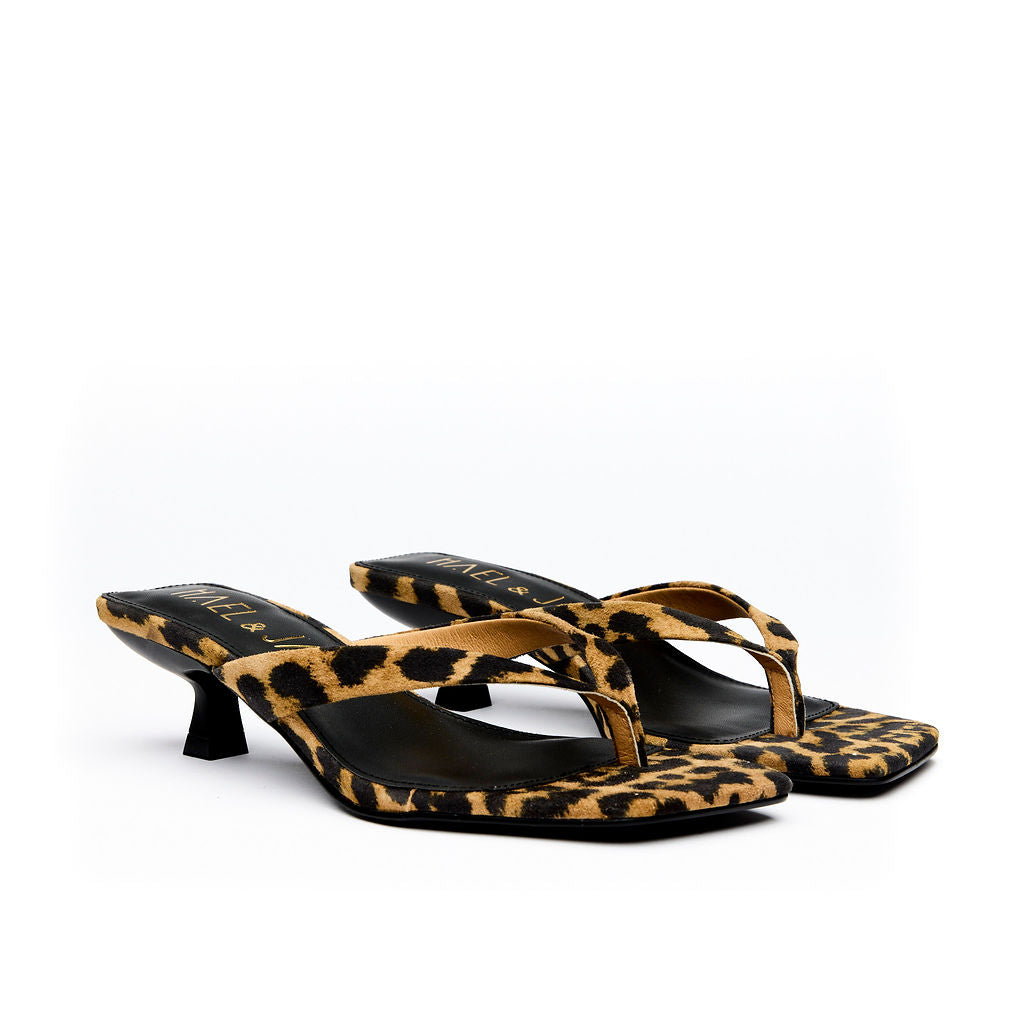 ASTUTE Leopard