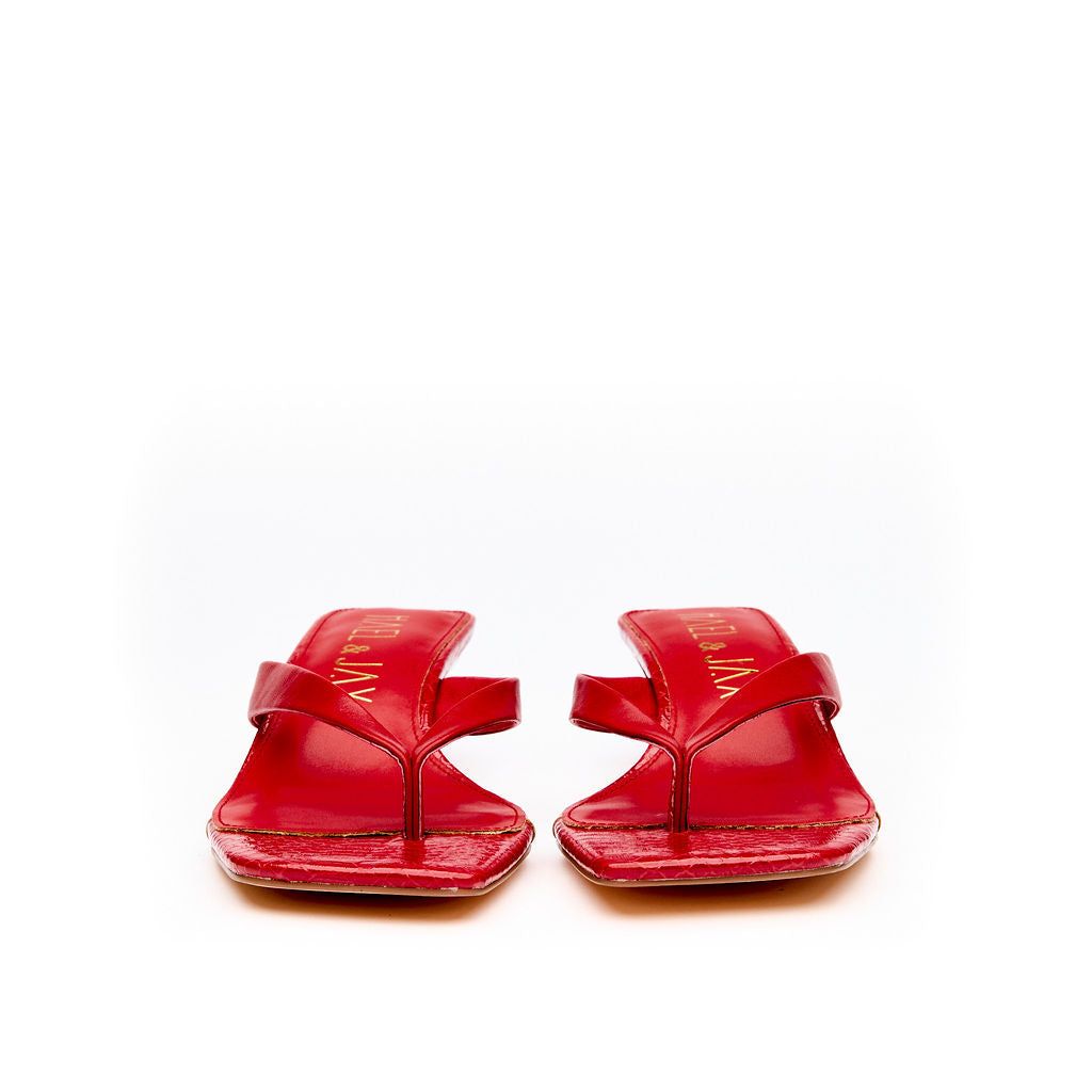 ASTUTE Red