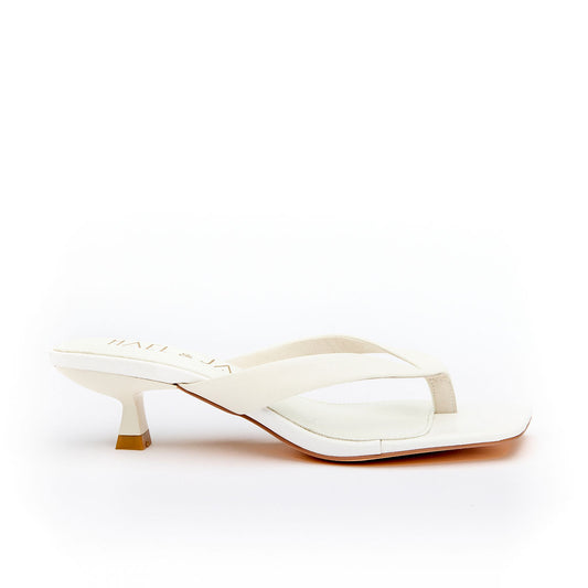 ASTUTE White