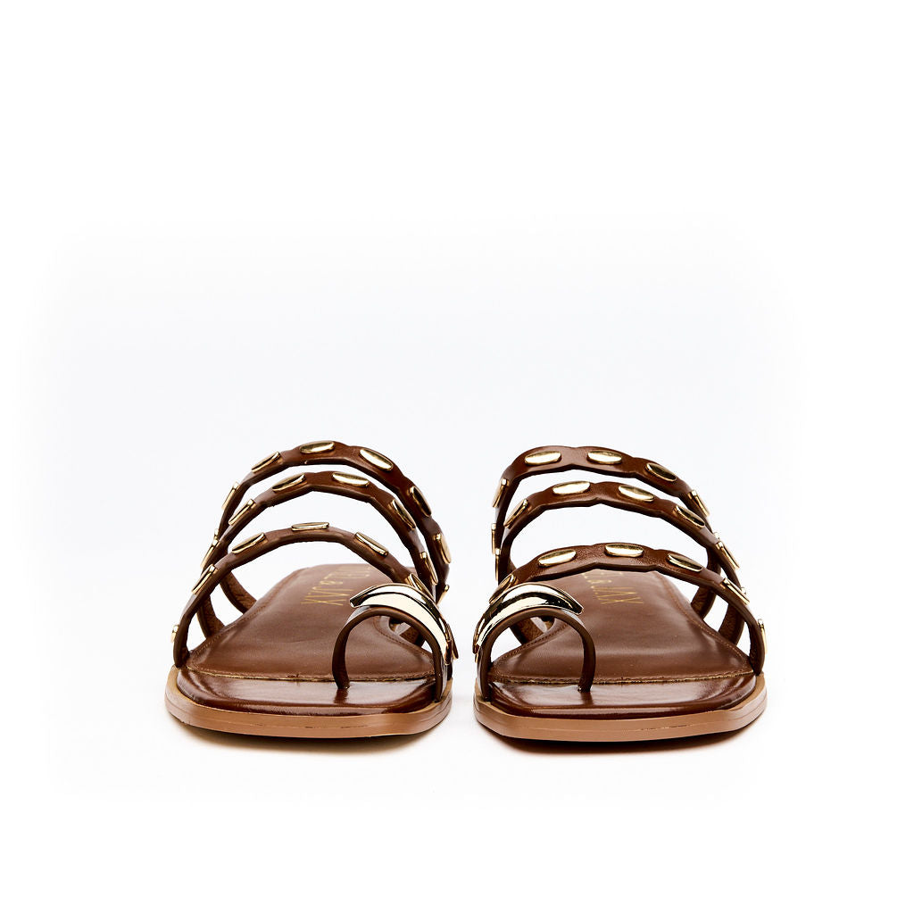 ENLIGHTENED Cinnamon