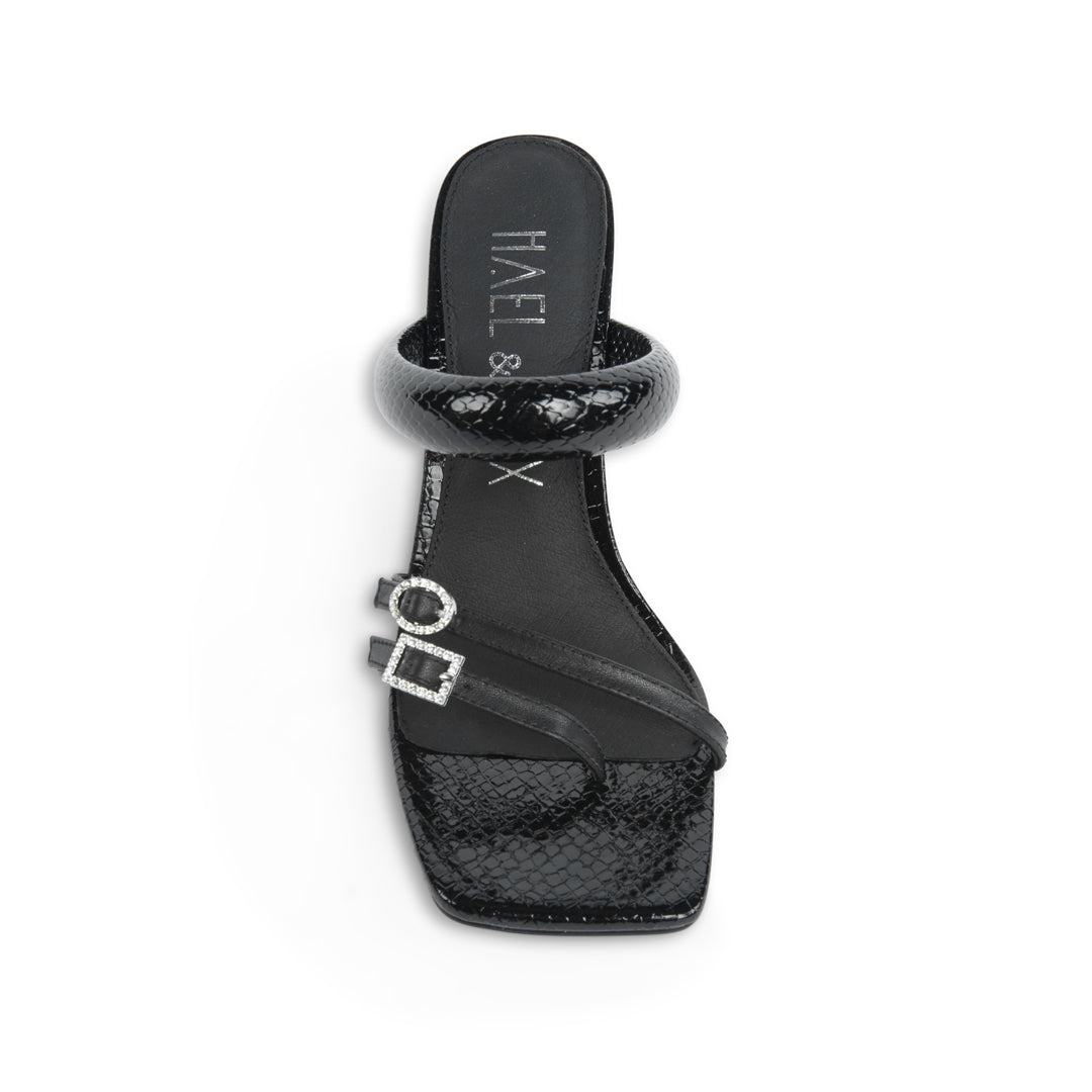 ROSE Black (Sample37)