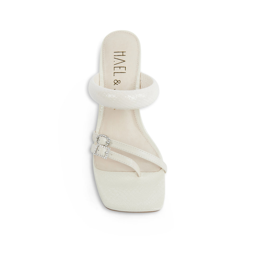 ROSE Vanilla (Sample37)